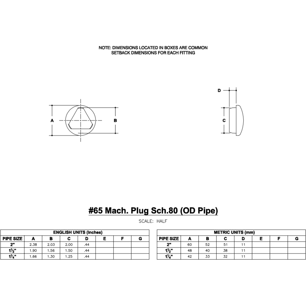 65 - Plug Sch. 80