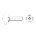 Stainless Steel Screw Hexagon Socket Countersunk Flat Head M5 x 63/64"