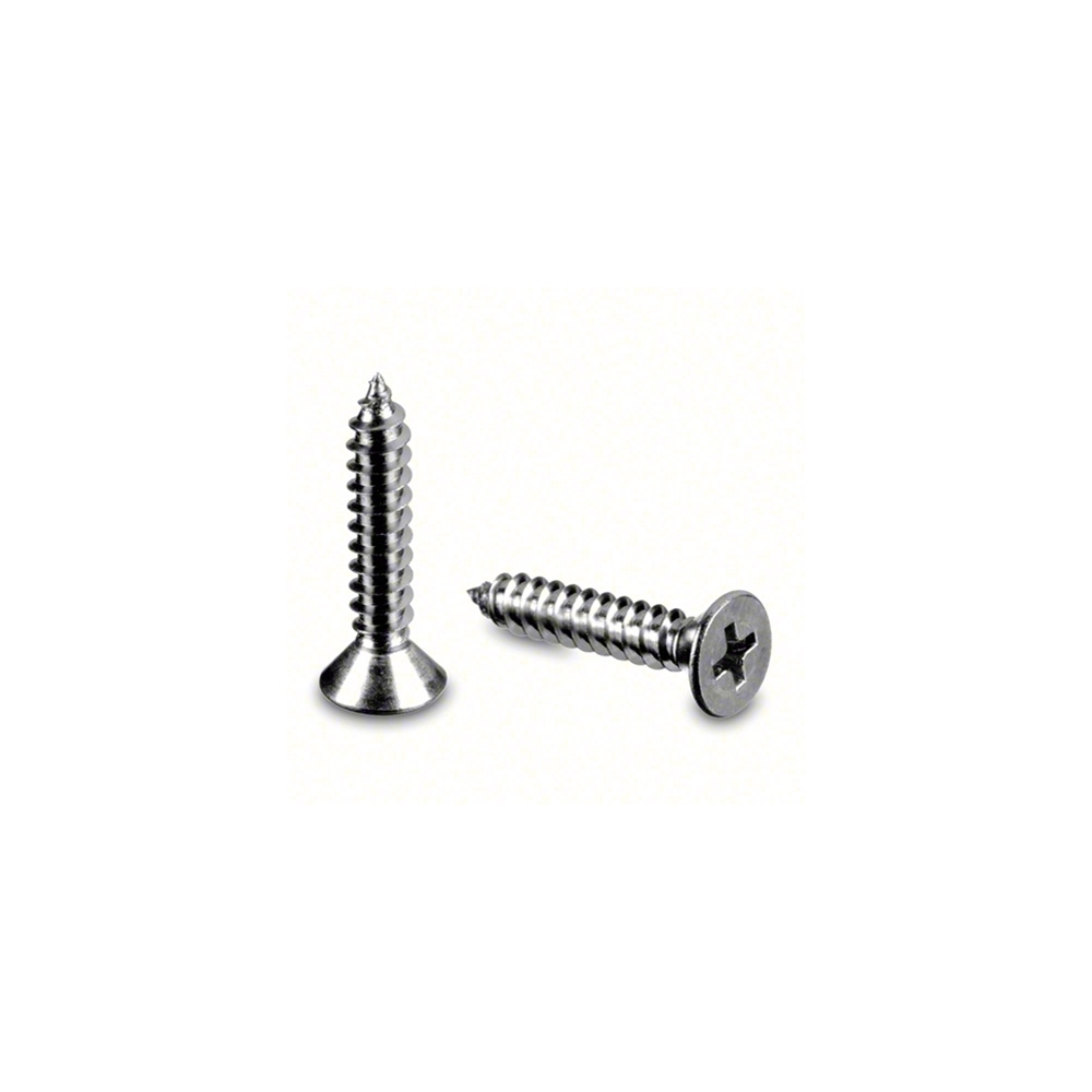 QS-0220 - Stainless Steel 316 Screw